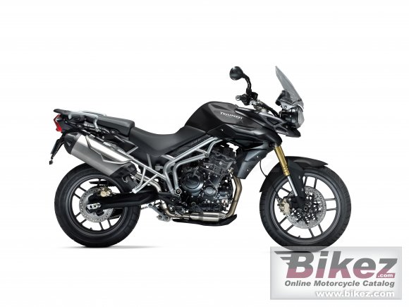 2011 Triumph New Tiger 800 photo